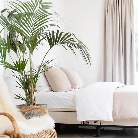 Ben Bij Bos ベッド・アンド・ブレックファスト