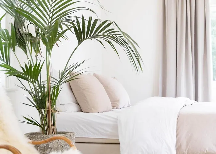 Ben Bij Bos Bed & Breakfast